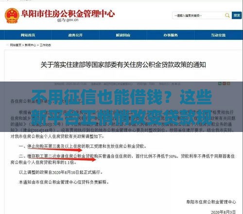 不用征信也能借钱？这些新平台正悄悄改变贷款规则！