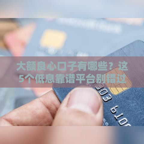 大额良心口子有哪些？这5个低息靠谱平台别错过