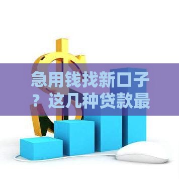 急用钱找新口子？这几种贷款最快秒下款！