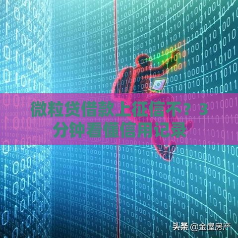 微粒贷借款上征信不？3分钟看懂信用记录