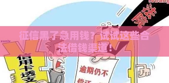 征信黑了急用钱？试试这些合法借钱渠道！