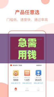 急需用钱必看！这5个正规贷款平台通过率高 快速到账有保障