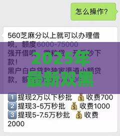 2025年最新双黑户贷款攻略：这些口子还能下款？试试这几个渠道！