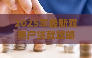2025年最新双黑户贷款攻略：这些口子还能下款？试试这几个渠道！