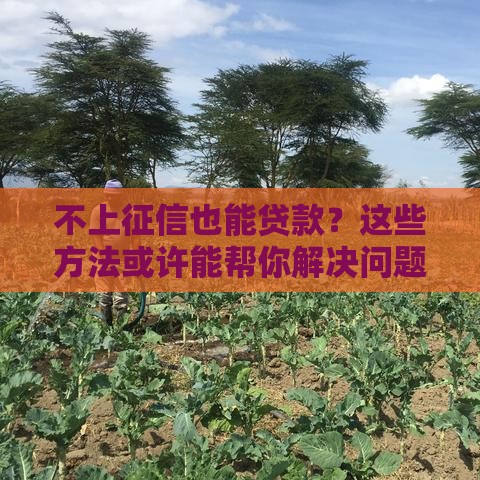 不上征信也能贷款？这些方法或许能帮你解决问题！