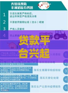 贷款平台兴起！如何选对靠谱渠道？这5大避坑指南必看