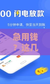 急用钱？这几个地方借钱不看征信，轻松解决资金难题！