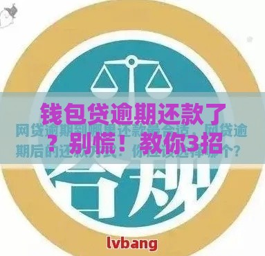 钱包贷逾期还款了？别慌！教你3招轻松应对