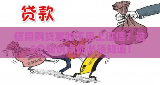 信用网贷真的不用上征信？这5个知识点你必须知道！