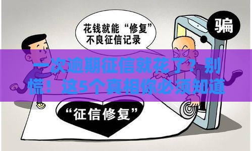 一次逾期征信就花了？别慌！这5个真相你必须知道
