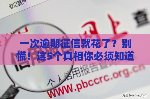 一次逾期征信就花了？别慌！这5个真相你必须知道