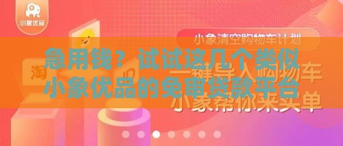 急用钱？试试这几个类似小象优品的免审贷款平台！
