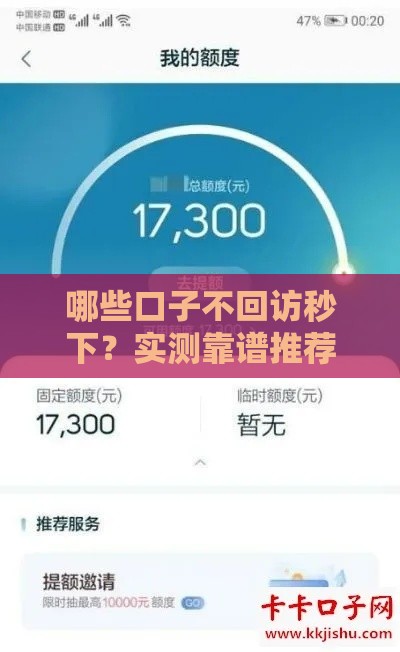 哪些口子不回访秒下？实测靠谱推荐