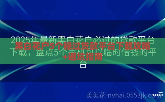 黑白花户5个稳过贷款平台下载攻略+避坑指南