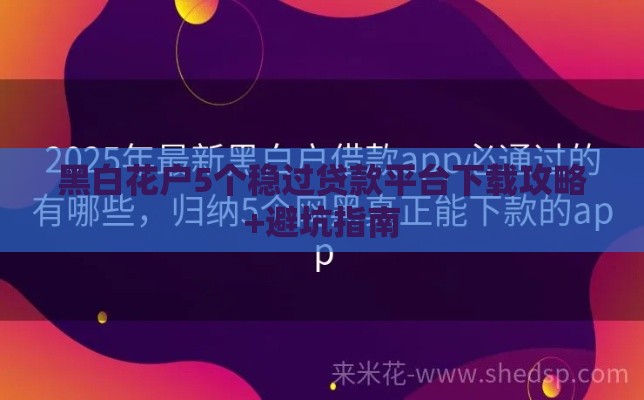 黑白花户5个稳过贷款平台下载攻略+避坑指南