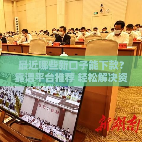 最近哪些新口子能下款？靠谱平台推荐 轻松解决资金难题