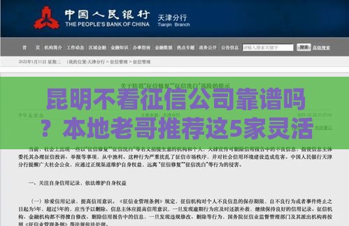 昆明不看征信公司靠谱吗？本地老哥推荐这5家灵活方案