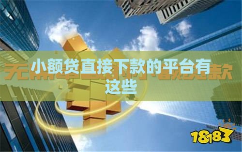 小额贷直接下款的平台有这些