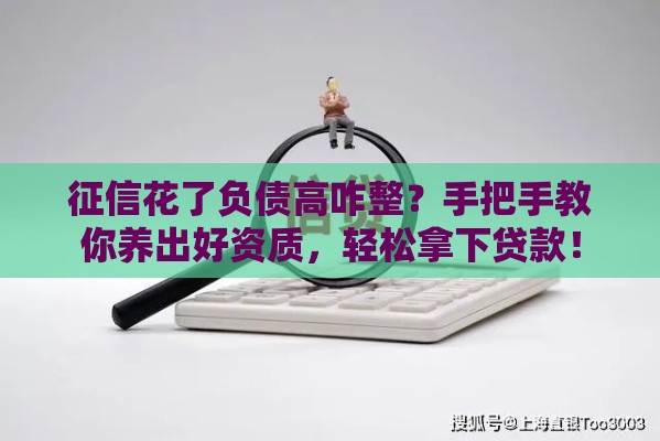 征信花了负债高咋整？手把手教你养出好资质，轻松拿下贷款！