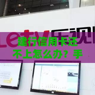 建行信用卡还不上怎么办？手把手教你协商还款实用攻略