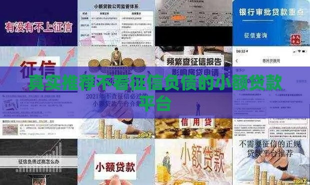 真实推荐不看征信负债的小额贷款平台