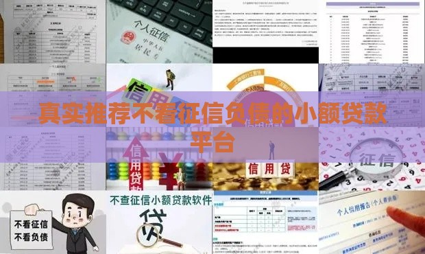 真实推荐不看征信负债的小额贷款平台