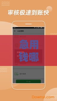 急用钱哪里能借？5分钟搞懂正规借款渠道怎么选！