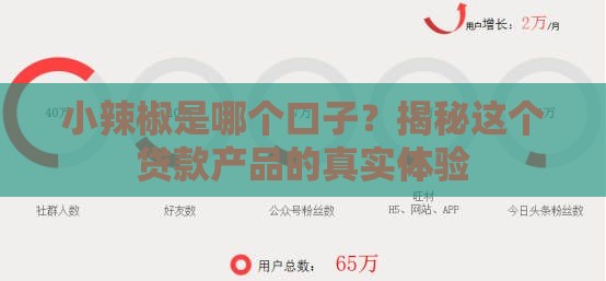 小辣椒是哪个口子？揭秘这个贷款产品的真实体验