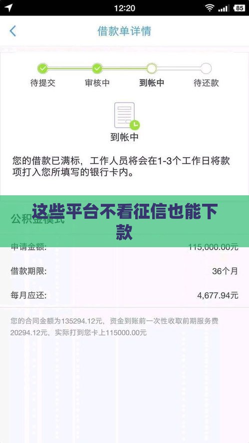 这些平台不看征信也能下款