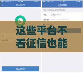 这些平台不看征信也能下款