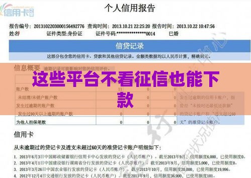 这些平台不看征信也能下款