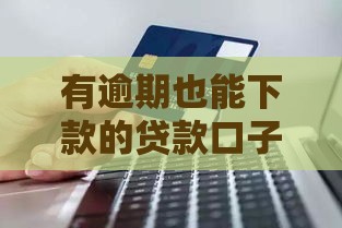 有逾期也能下款的贷款口子？这几个应急选择审核宽松又靠谱！