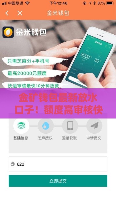 金矿钱包最新放水口子！额度高审核快，急用钱必看攻略
