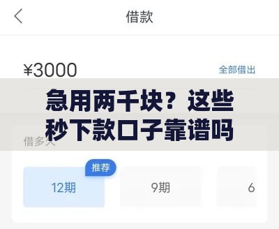 急用两千块？这些秒下款口子靠谱吗？实测经验分享！