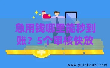 急用钱哪里能秒到账？5个审核快放款稳的借贷平台盘点