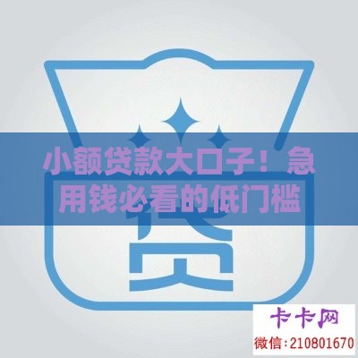 小额贷款大口子！急用钱必看的低门槛申请攻略