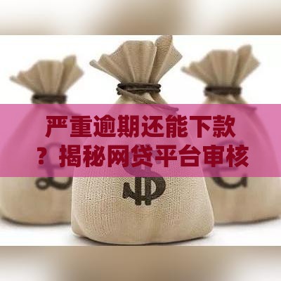 严重逾期还能下款？揭秘网贷平台审核机制与避坑指南