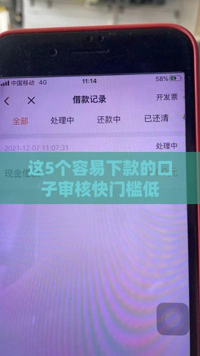 这5个容易下款的口子审核快门槛低