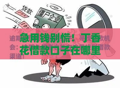 急用钱别慌！丁香花借款口子在哪里真实渠道分析，手把手教你避开套路