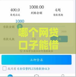 哪个网贷口子能借到钱又靠谱？