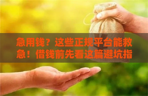 急用钱？这些正规平台能救急！借钱前先看这篇避坑指南