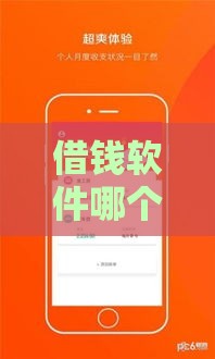 借钱软件哪个靠谱？实测5款能下款的平台！