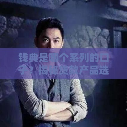 钱典是哪个系列的口子？揭秘贷款产品选择门道