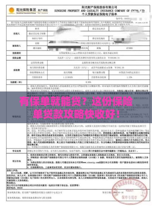 有保单就能贷？这份保险单贷款攻略快收好！