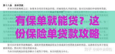 有保单就能贷？这份保险单贷款攻略快收好！