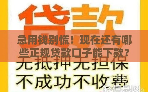 急用钱别慌！现在还有哪些正规贷款口子能下款？看这里！
