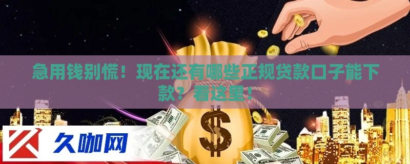急用钱别慌！现在还有哪些正规贷款口子能下款？看这里！