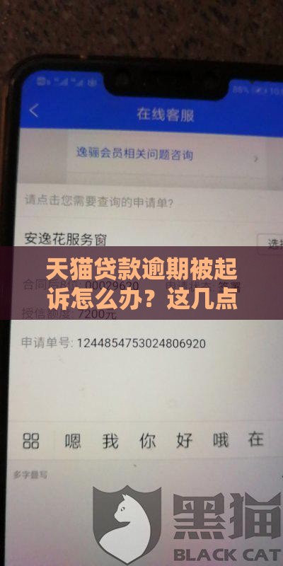 天猫贷款逾期被起诉怎么办？这几点应对策略必须掌握！