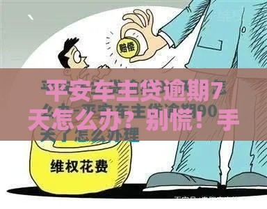 平安车主贷逾期7天怎么办？别慌！手把手教你补救方法