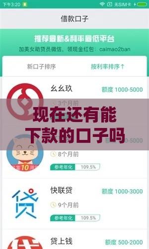 现在还有能下款的口子吗？最新贷款渠道推荐